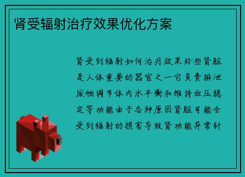 肾受辐射治疗效果优化方案